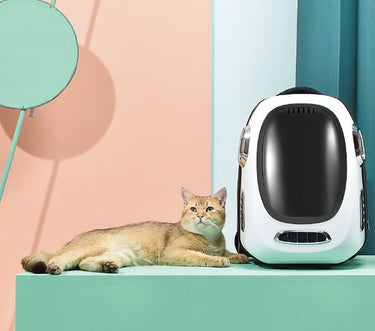 Instachew Trekpod Pet Carrier Black (NEW)