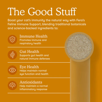 Fera Pets – L-Lysine for Cats – 60g