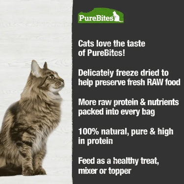 PureBites® Chicken Breast & Catnip Freeze-Dried Cat Treat 37 gm