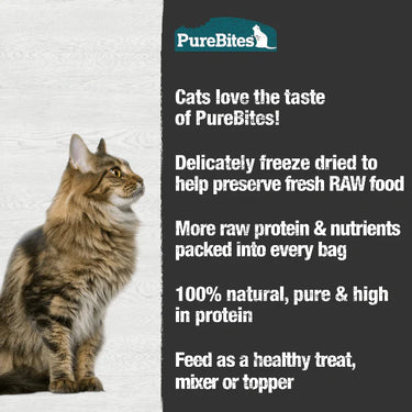 PureBites® Minnow Cat Treats 66 gm