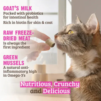 Rawz Freeze Dried Wild Caught Salmon & Goat's Milk & Green Mussels 28g (1oz)