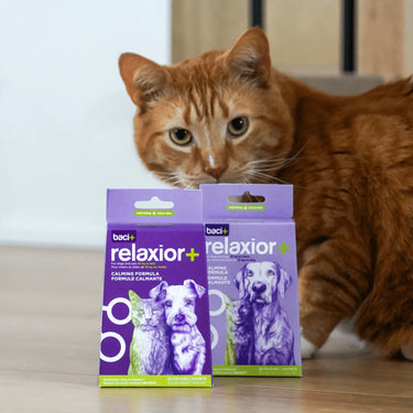 Baci Relaxior+ Small Breed (10kg or under) Cat/Dog 10g