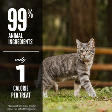 Orijen - Regional Red Cat Treats