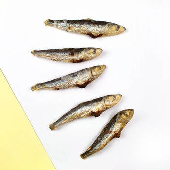 Wiggly Babies: Whole Sardines 50g