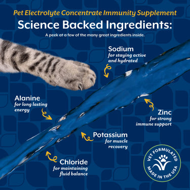 NaturVet® Pet Electrolyte Concentrate for Dogs & Cats 16 oz