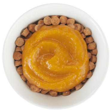 Tiki Cat® Tummy Topper™ Pumpkin Recipe Puree Grain Free Topper for Cats 1.5oz