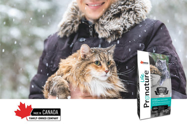 Pronature Life Instinct All Stages All Breed High Animal Protein Cat 5 kg