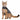 Thundershirt for Cats