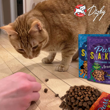 Fromm® PurrSnacKitty™ Liver Flavor Treats for Cats 3 oz