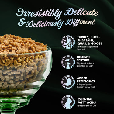 Fromm® PurrSnickitty™ Game Bird Grandeur Recipe Dry Cat Food