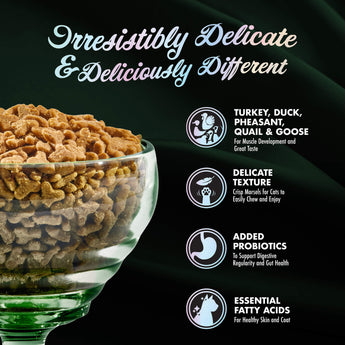 Fromm® PurrSnickitty™ Game Bird Grandeur Recipe Dry Cat Food