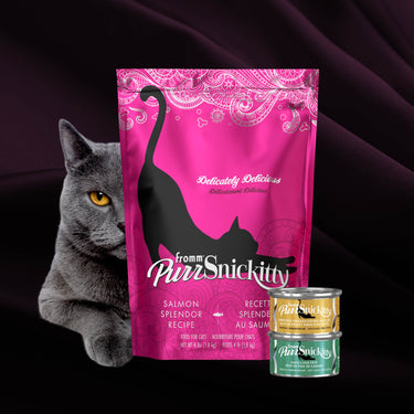 Fromm® PurrSnickitty™ Salmon Splendor Recipe Dry Cat Food