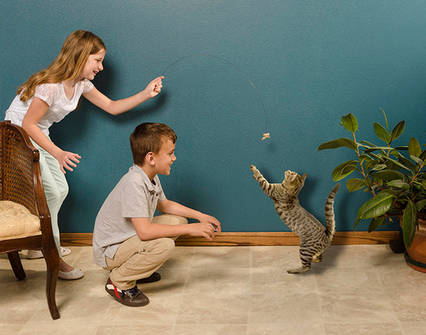 Cat Dancer - Cats Paradise