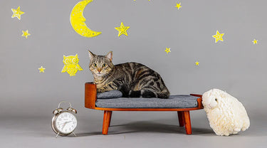 Instachew Ovoo Pet Bed - Cats Paradise