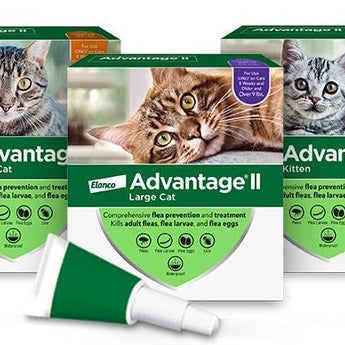 Advantage for Large Cat - Cats Paradise