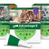 Advantage for Small Cats - Cats Paradise