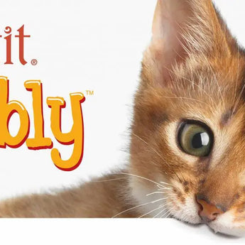 Catit Nibbly Crispy – Chicken - Cats Paradise