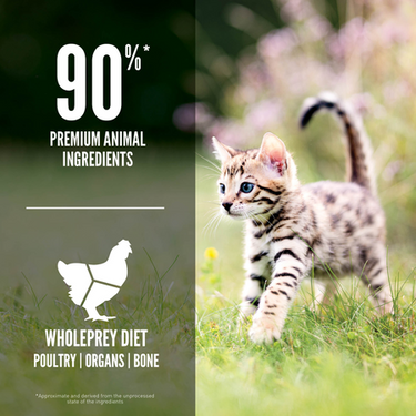 Orijen Kitten 1.8 kg (4 lbs)
