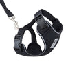 RC Pets Adventure Kitty Harness Black - Cats Paradise
