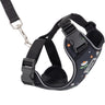 RC Pets Adventure Kitty Harness - Daisy - Cats Paradise