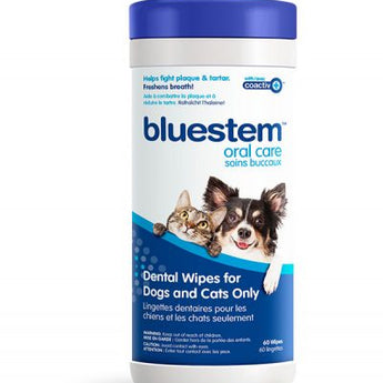 Bluestem - Dental Wipes for Dogs & Cats - Cats Paradise