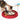 Catit Catit Play 3 in 1 Circuit Ball Toy with Scratch Pad - Cats Paradise