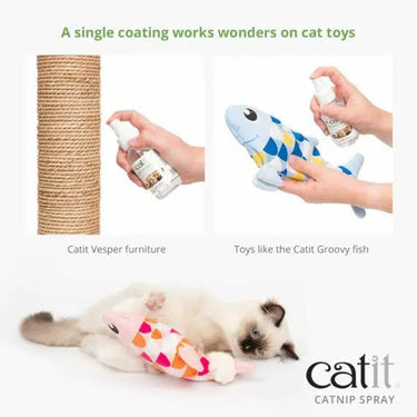 Catit Catnip Spray
