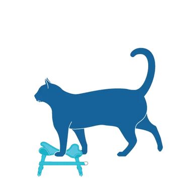 RC Pets Adventure Kitty Harness - Teal - Cats Paradise