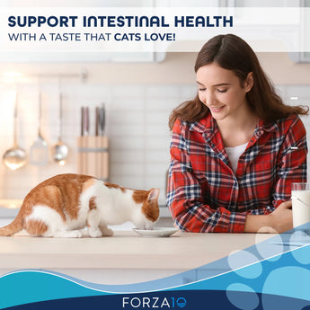 Forza 10 Intestinal Dry Cat Food - Cats Paradise