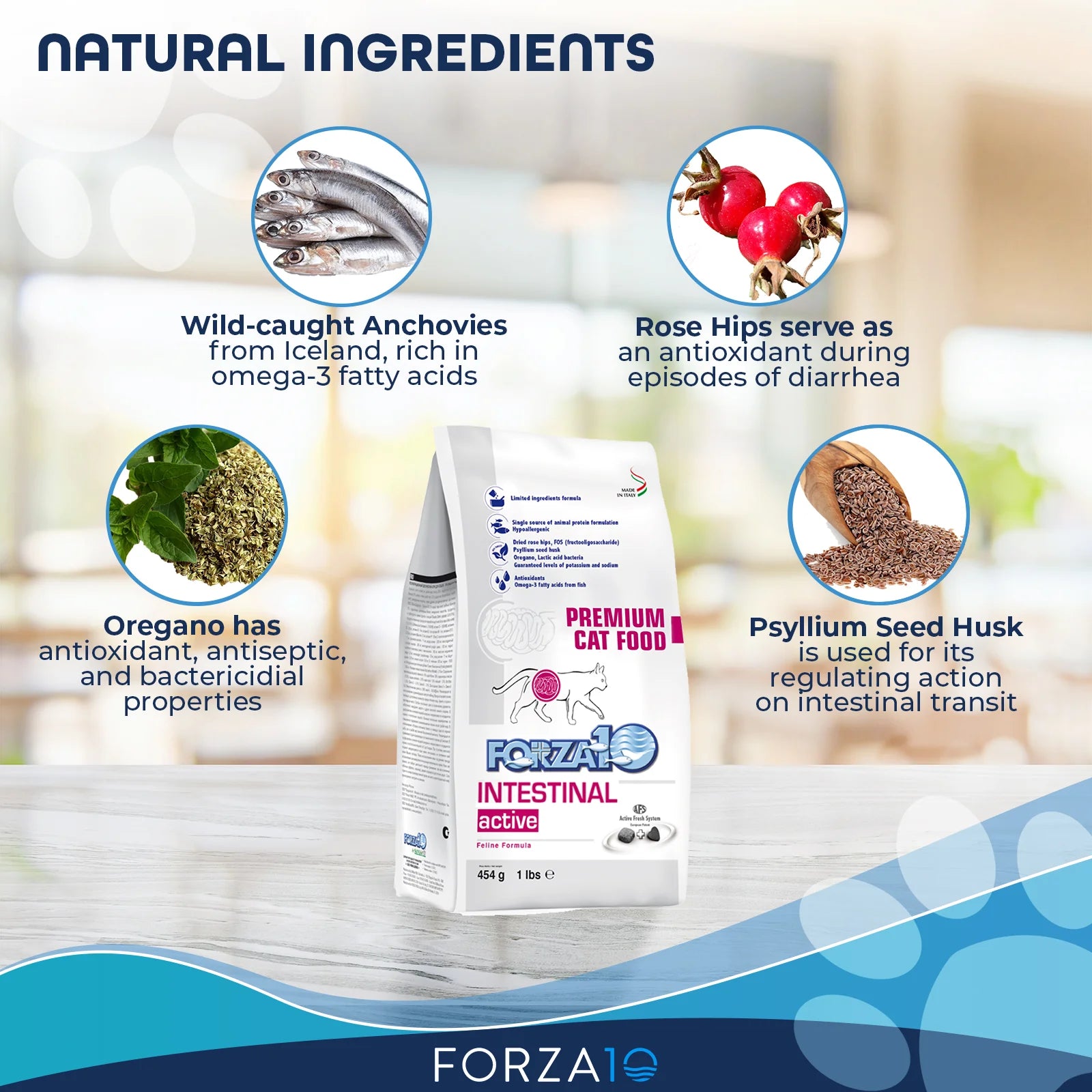 Forza 10 Intestinal Dry Cat Food - Cats Paradise