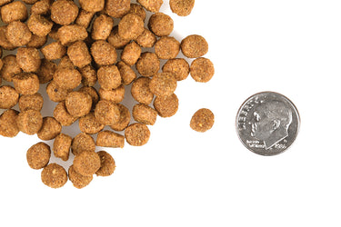 Fromm Healthy Weight Gold Cat Food