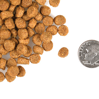 Fromm Healthy Weight Gold Cat Food
