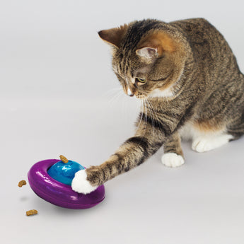 Kong Cat Gyro Infused Dispenses  Food & Treat - Cats Paradise