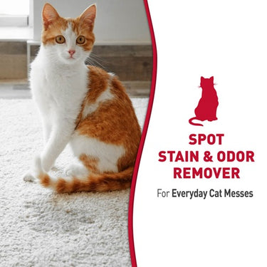 Nature's Miracle Just For Cats Odor Remover - Cats Paradise