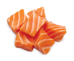 1st Choice Adult Derma Salmon Dry Cat Foods