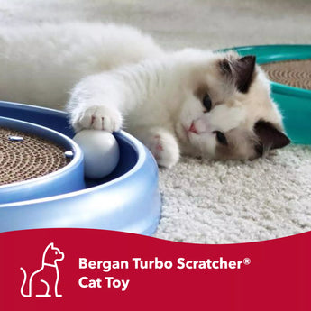 Bergan Turbo Scratcher Cat Toy - Cats Paradise