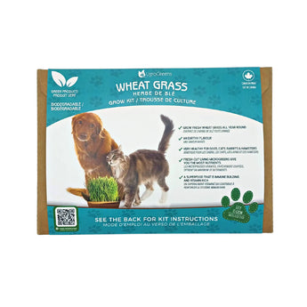 UgroGreens Wheat Grass – Grow Kit